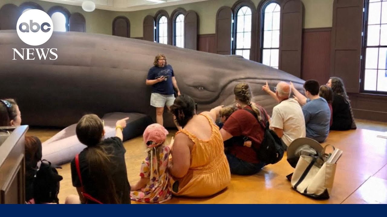 Educator goes big with lessons involving a 43-foot whale