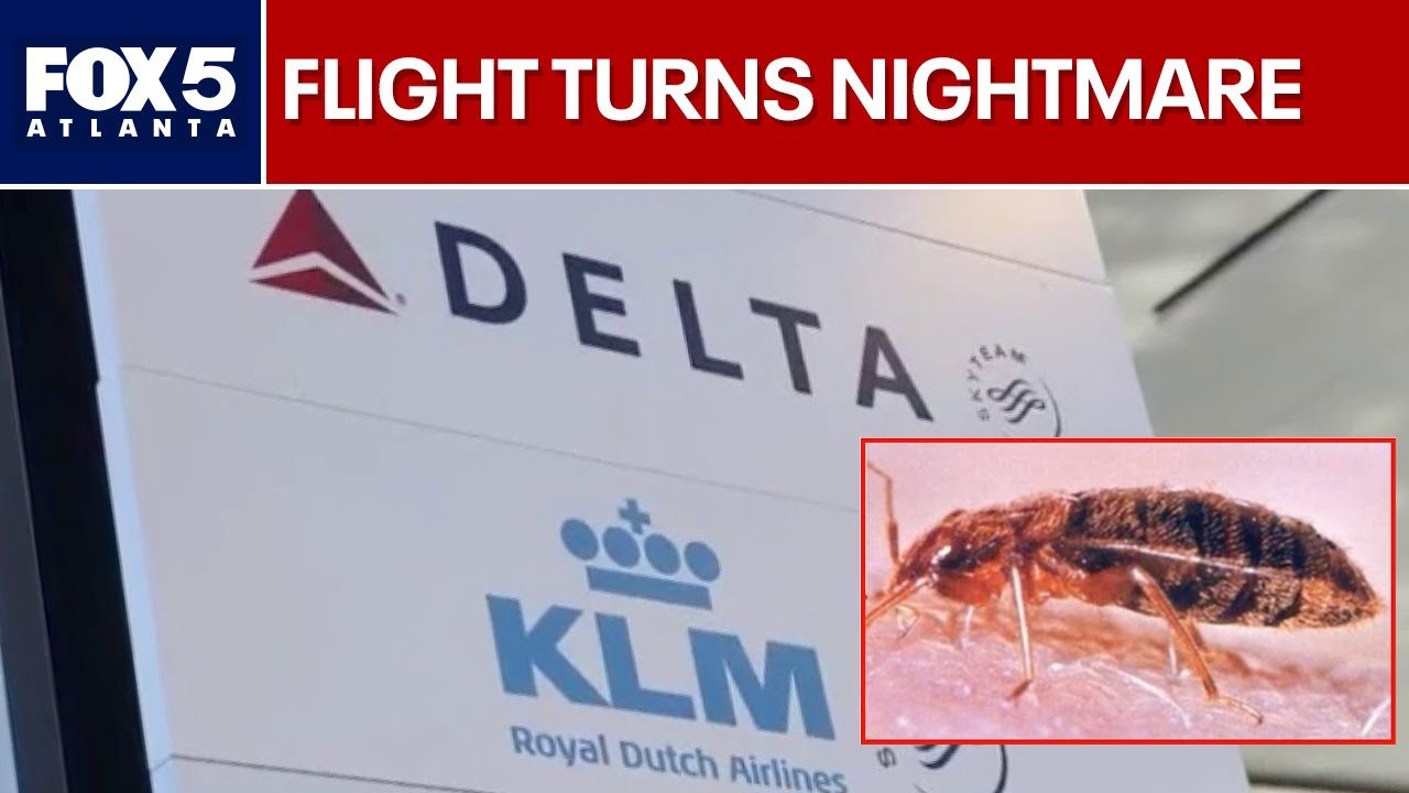 Family sues Delta, KLM over alleged bedbug bites | FOX 5