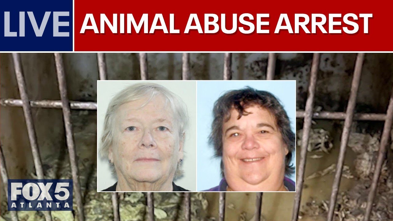 FOX 5 News Live | Holiday Travel, Breaking News & Local Updates