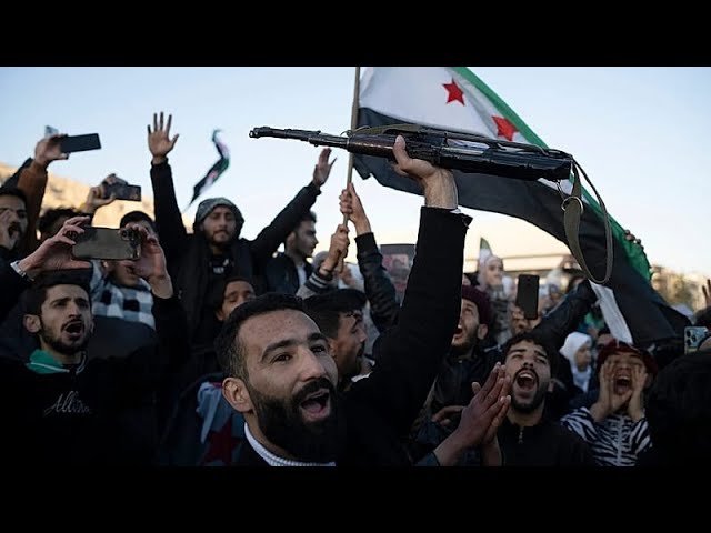 German-Syrian activist urges Berlin to retain asylum among ongoing persecution fears