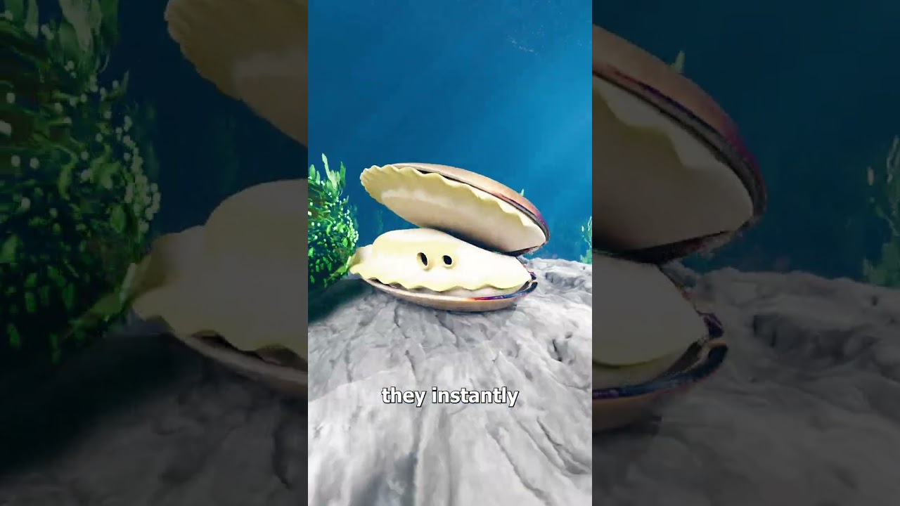 How Clams Warn Us About Dirty Water 😮