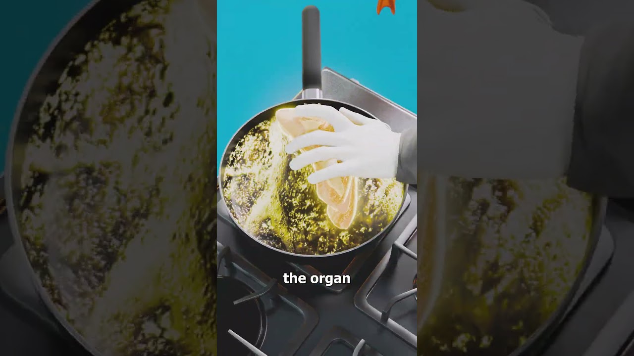 How Foie Gras Is Made 🤢