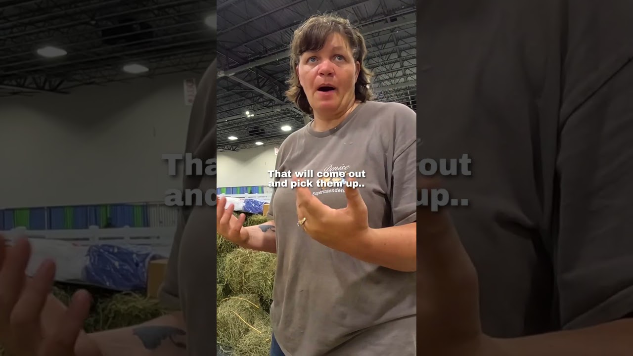 How much does a cow weigh? 🥺❤️