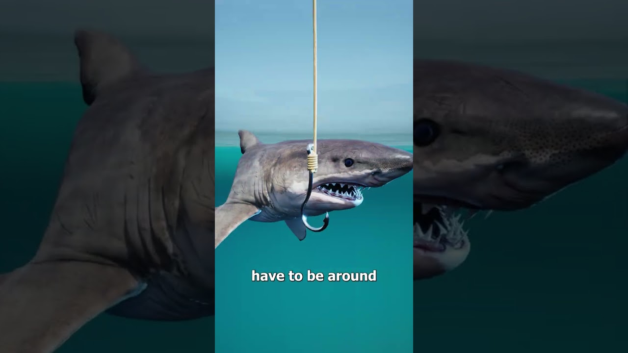 How To Catch A Megalodon 🤨