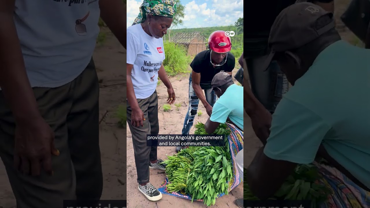 Humanitarian aid crisis hits Angola | DW News