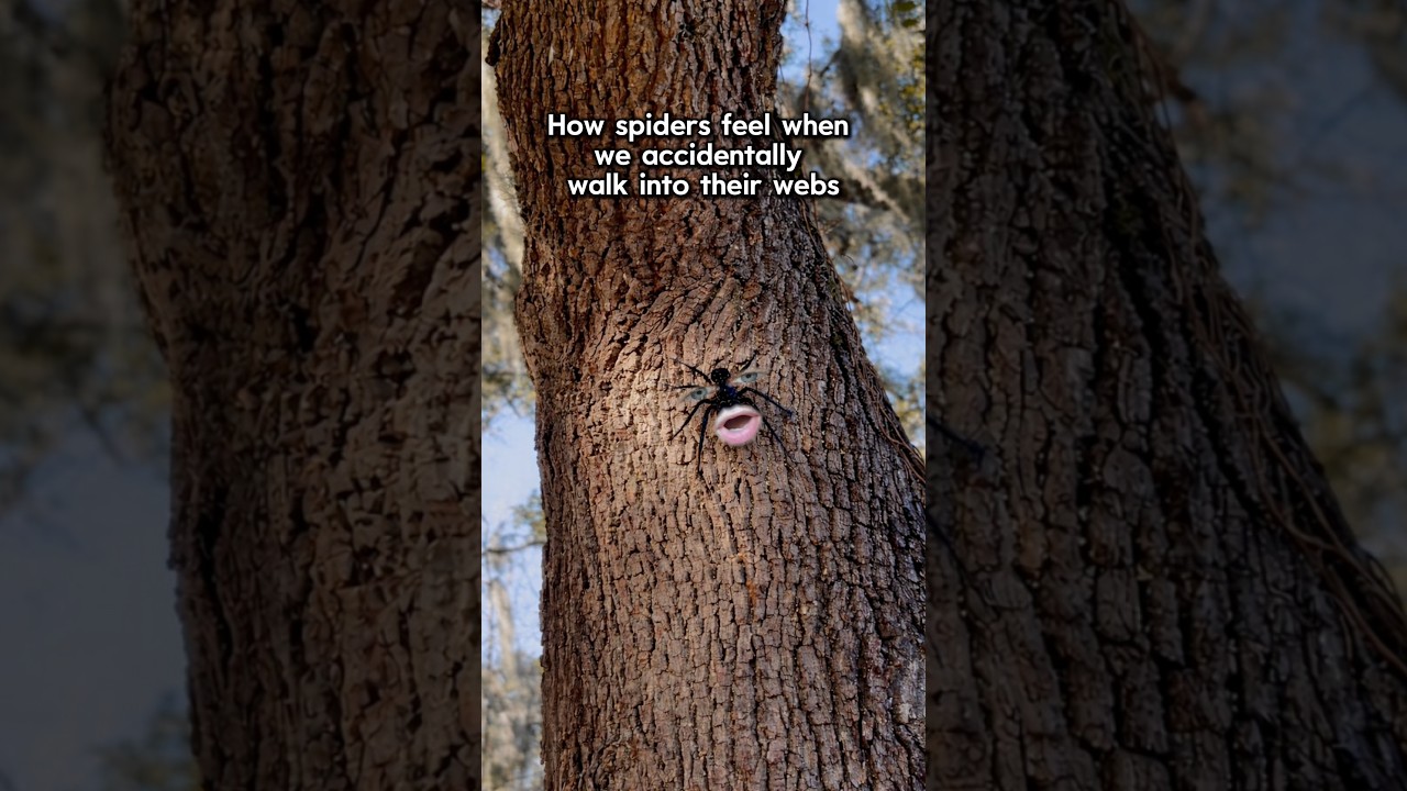 I Didn’t Do It on Purpose 😭