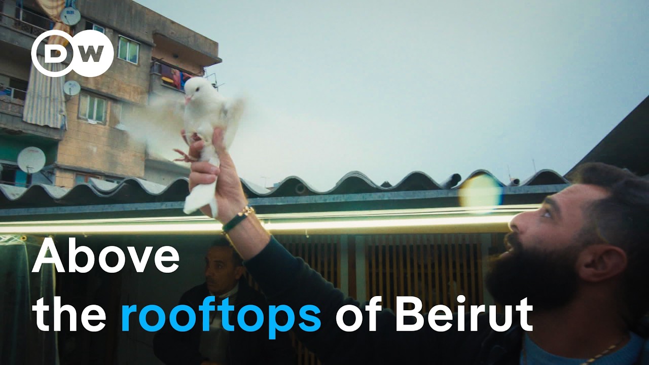 Lebanon’s ancient pigeon game | DW Documentary
