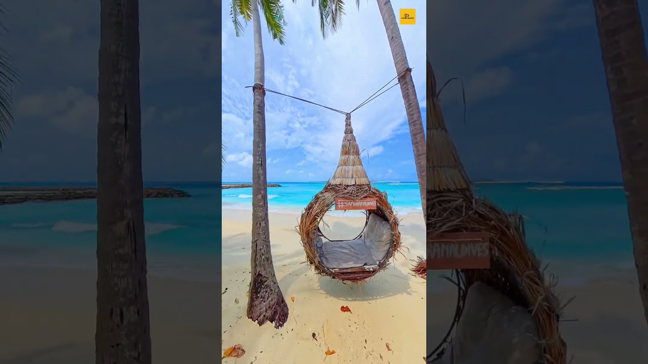 Maldive Vibes | #shorts