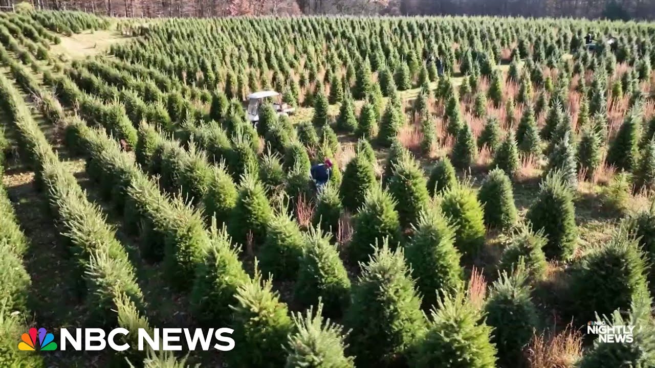 Maryland farmers fight power companies over AI boom