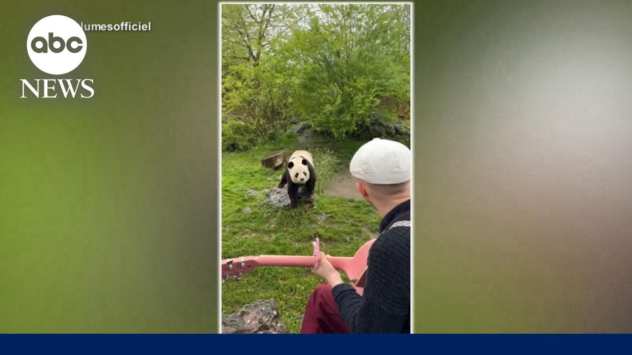 Meet the musician whose audience is the animal kingdom