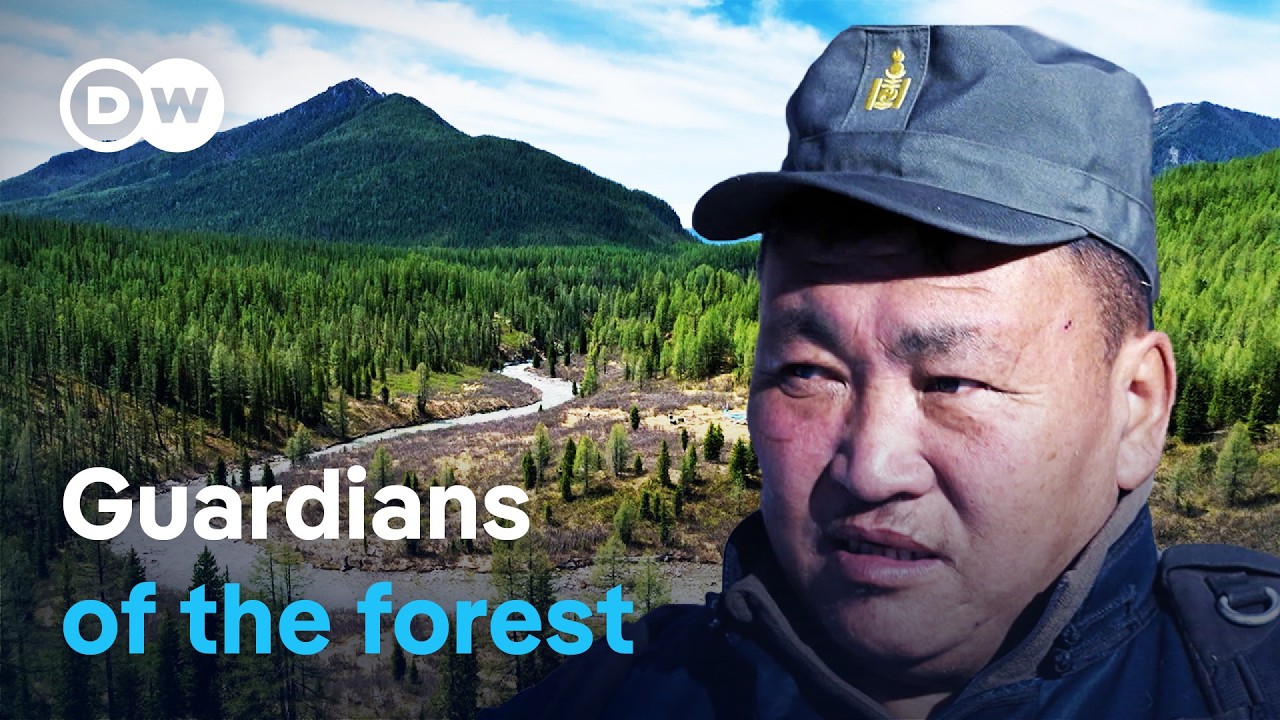 Mongolia – Valley of the bears | DW Documentary