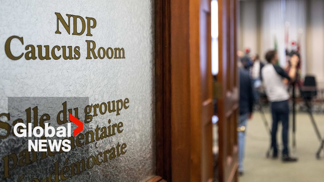 Natural resources key in upcoming NDP leadership race: analysis