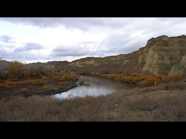 “Nature needs action, not just discussion,” says founder of IDEA international campaign