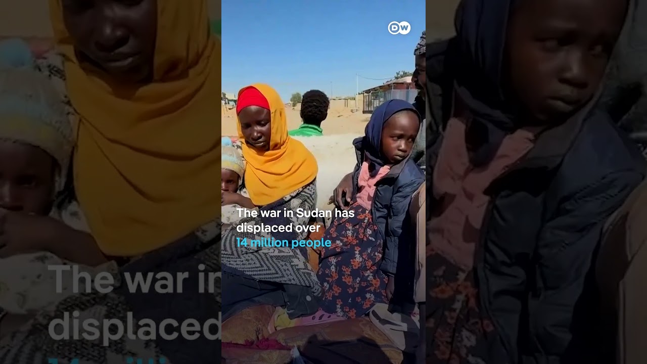 New report confirms famine in Sudan’s el-Fasher and Kadugli | DW News