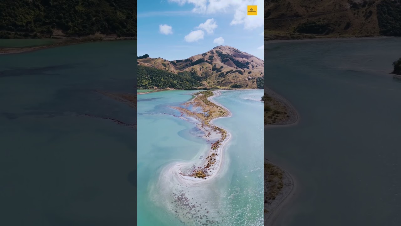 New Zealand | #shorts