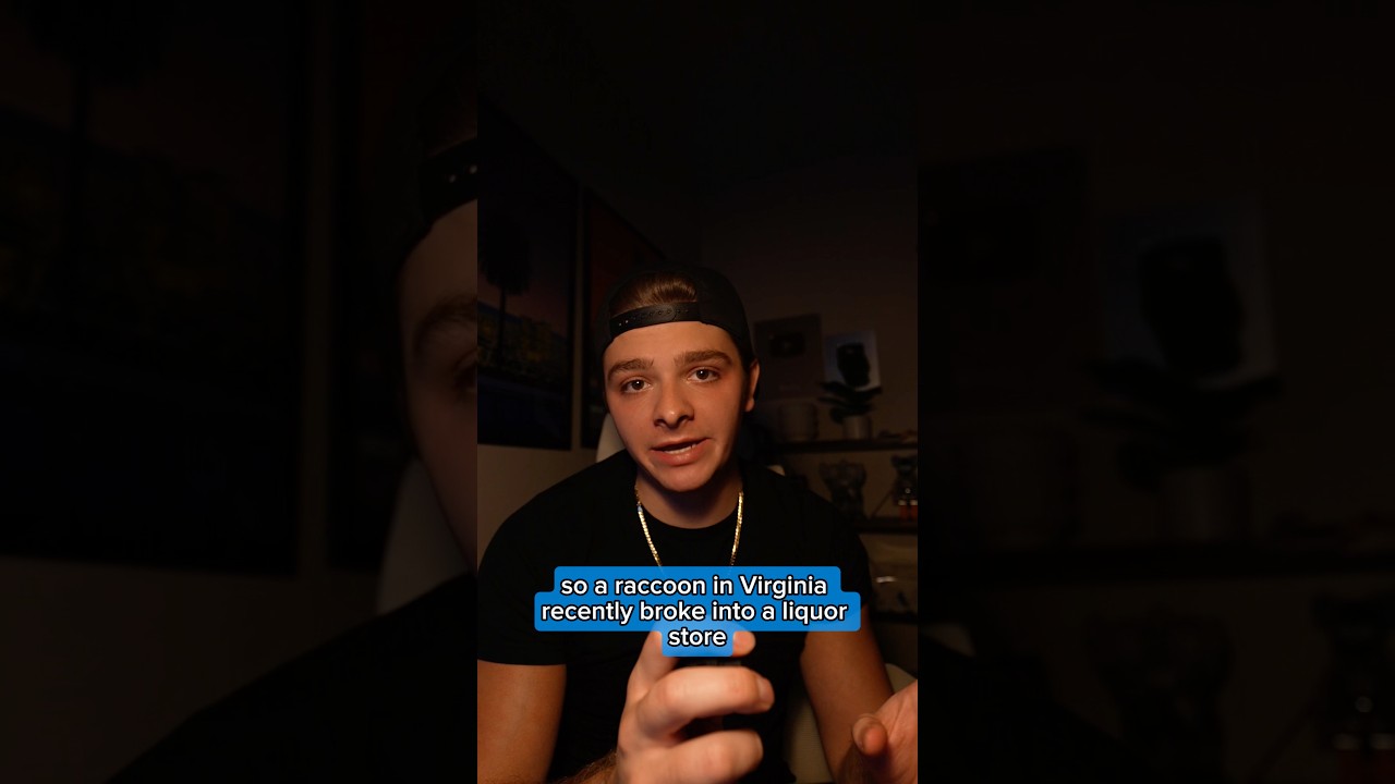 Raccoon accidentally got drunk 😭