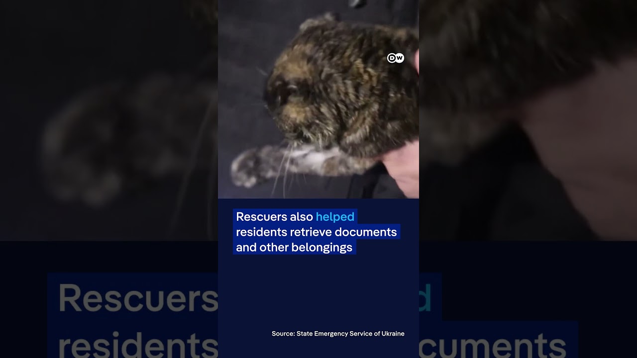 Russian drone hits residential building in Ukraine’s Sumy region, injuring at least 7 | DW News