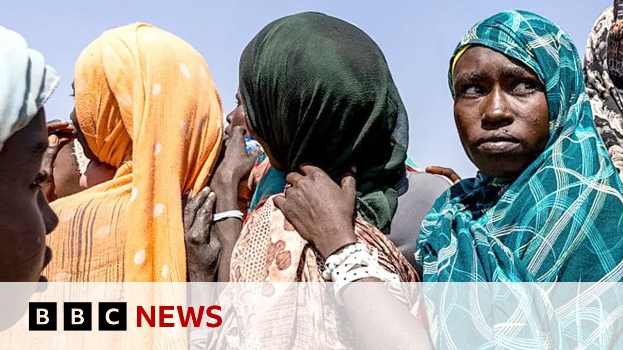 Sudan air force bombing kills at least 1,700 civilians, investigation says | BBC News
