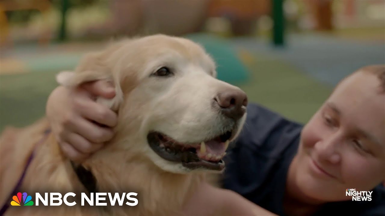 Teen and therapy dog beat cancer together