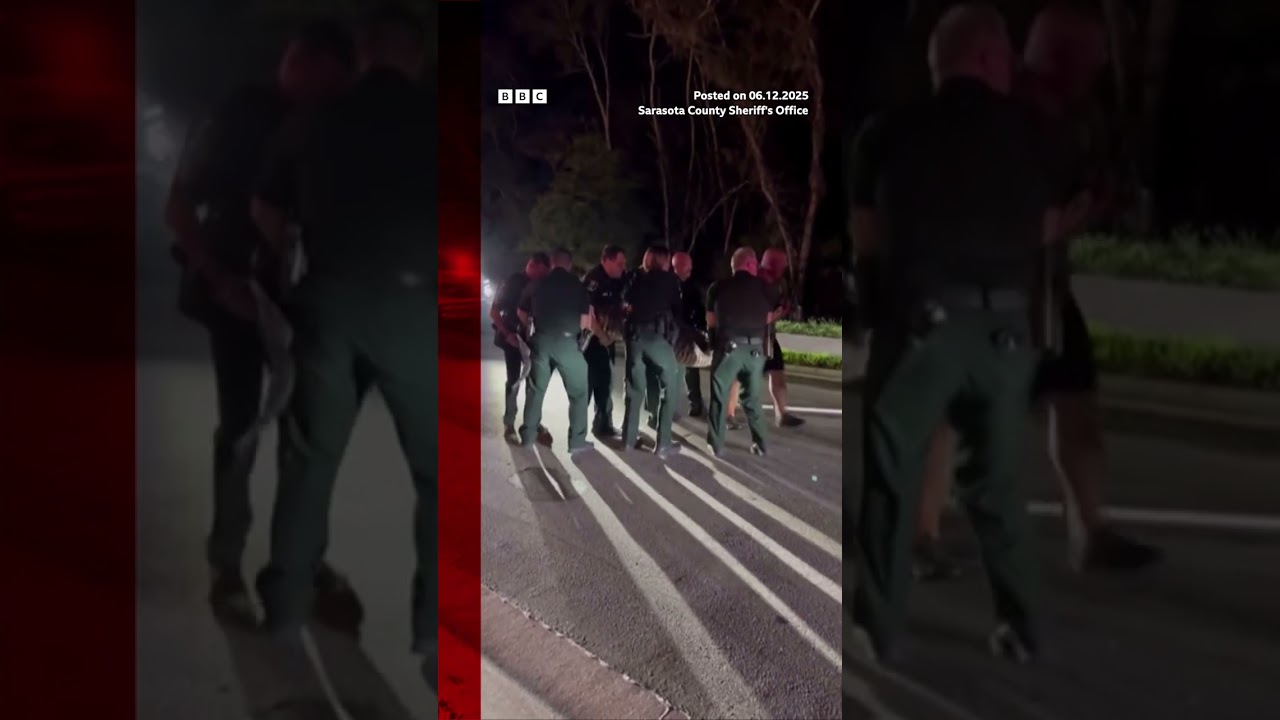 The animal was taken to a Florida alligator farm, where it was released.#Alligator #BBCNews