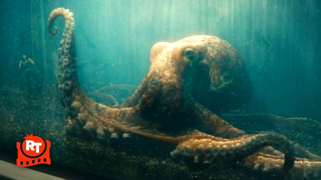 The Boys – WTF?! Deep KILLS His Octopus?! (S4E7) | Movieclips