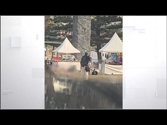 Video shows 2 gunmen shooting dead at least 11 at Sydney’s Bondi Beach