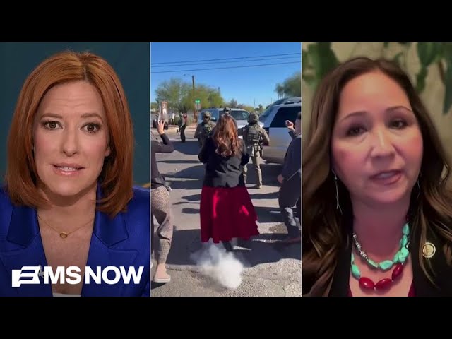 ‘We have video to prove it’: Border agents push, fire pepper ball at member of Congress