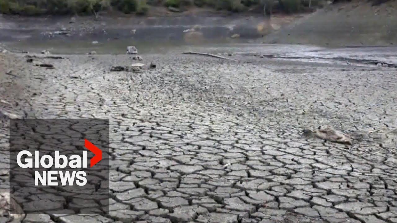 What were Canada’s top weather stories of 2025?