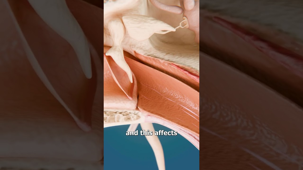 Why Your Ears Pop On A Plane 🤔