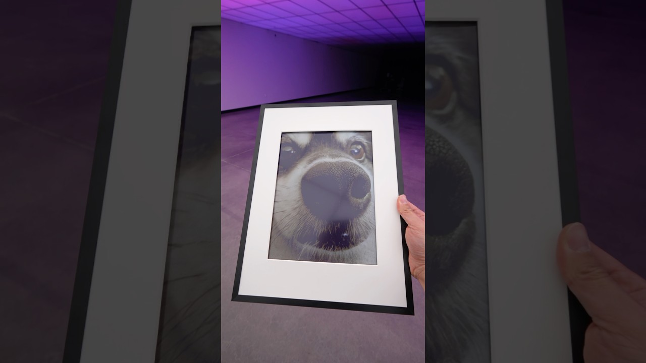 World’s First Smart Color E-ink Frame – Bloomin8 Smart Frame @BLOOMIN8  #Bloomin8 #EinkCanvas