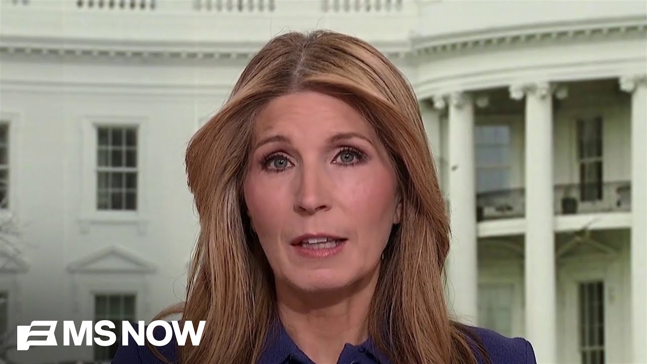 ‘A line we as a country cannot uncross’: Nicolle Wallace reacts to Don Lemon’s arrest over protest