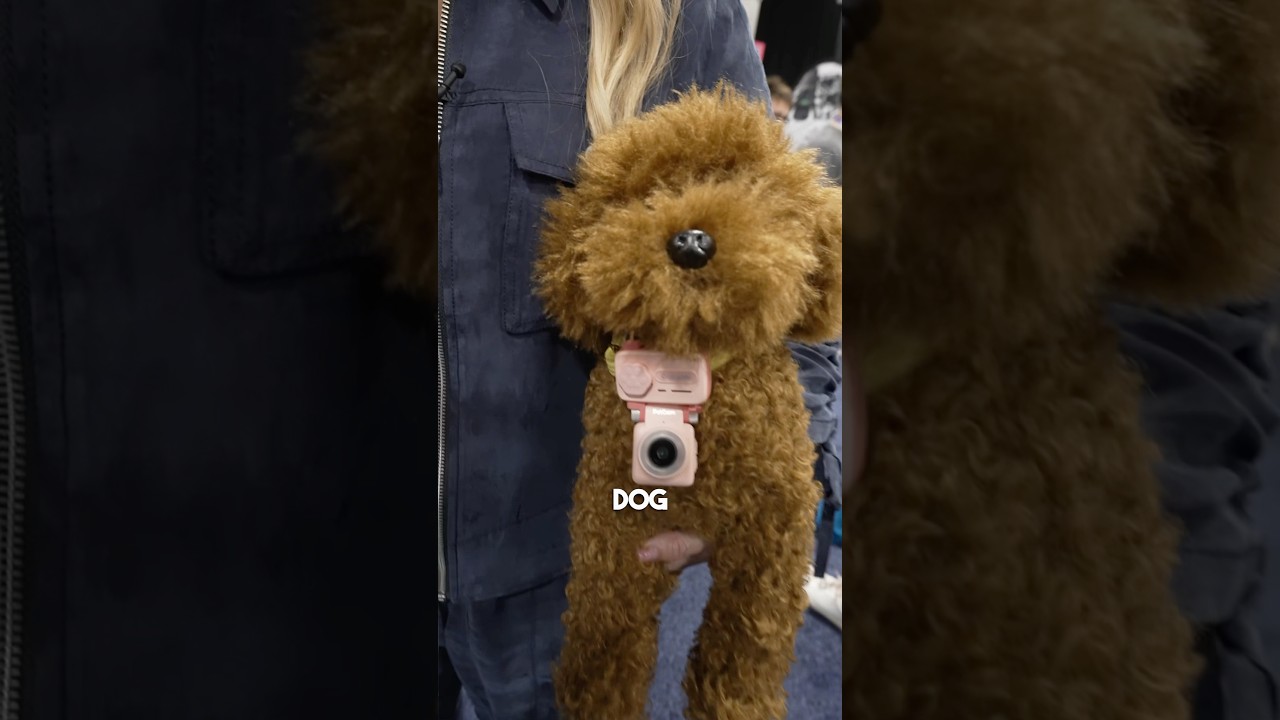 A phone for your dog!!!!