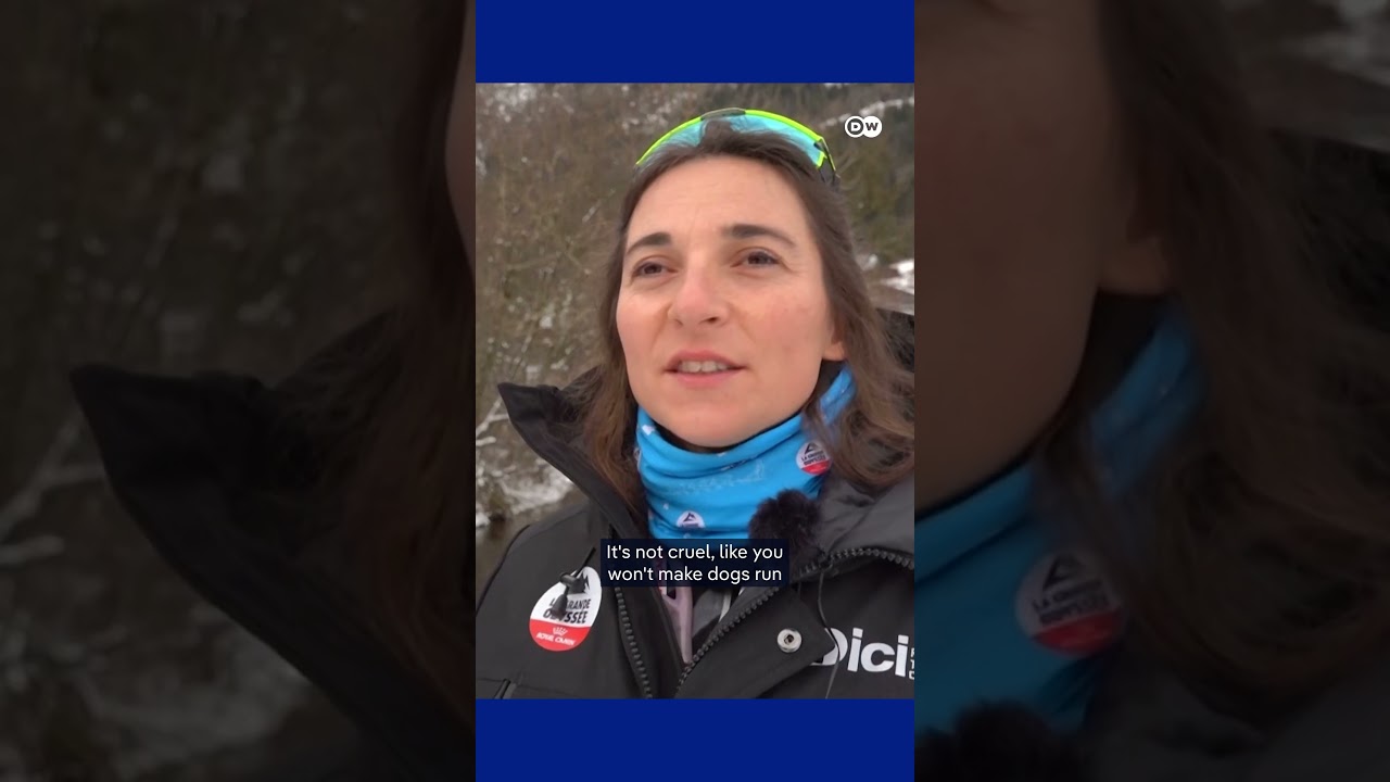 A sled race that respects its dogs | DW News