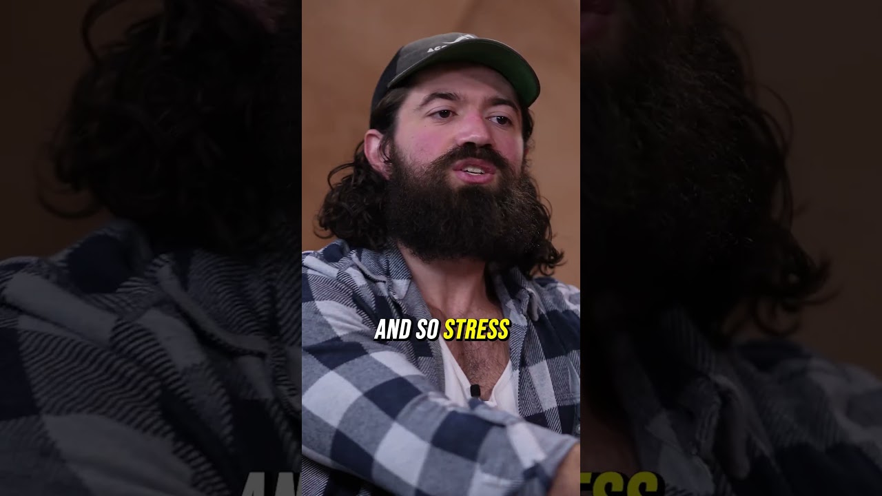 A Stressful Life Is Actually A Blessing