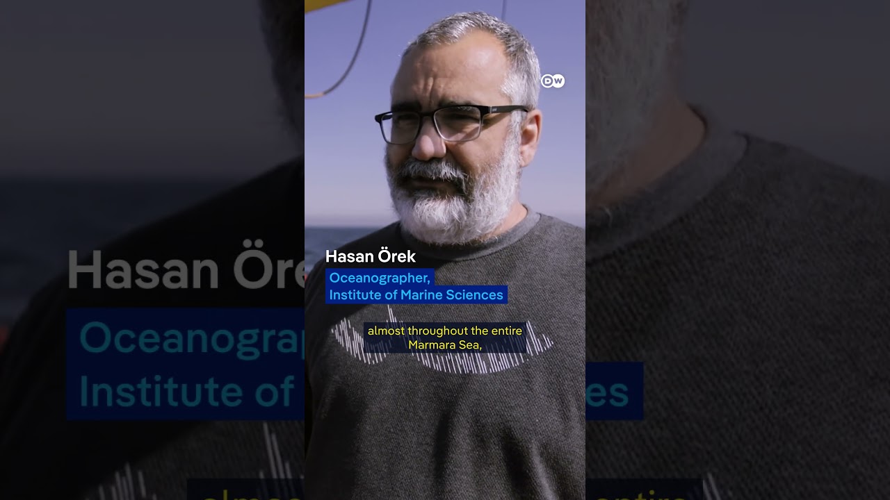 Can the Sea of Marmara be saved? 🐟 | DW Documentary