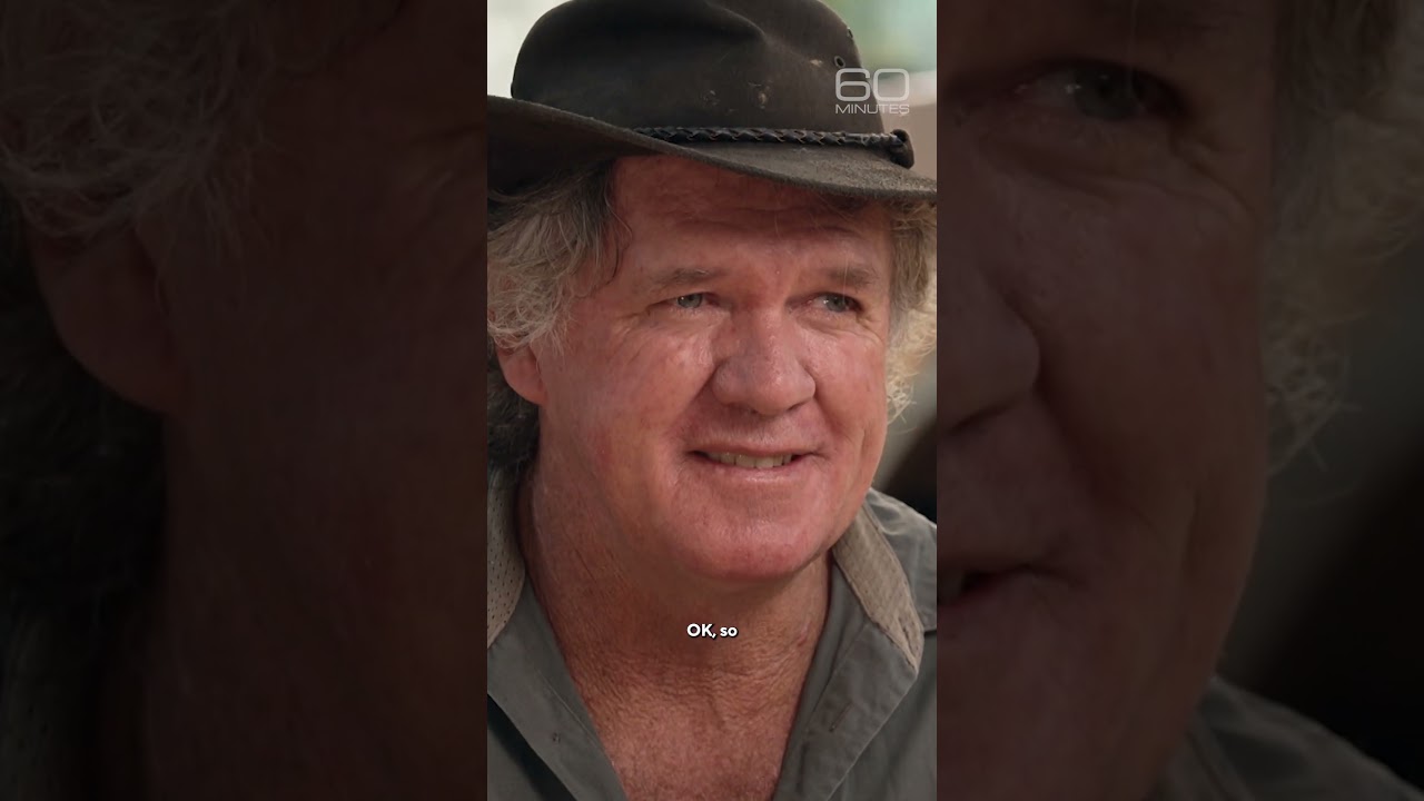 Crocodiles as pets #shorts