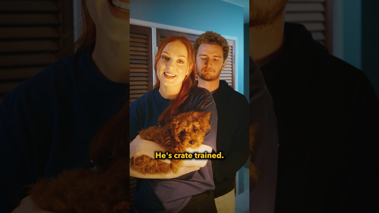 Dating a dog trainer