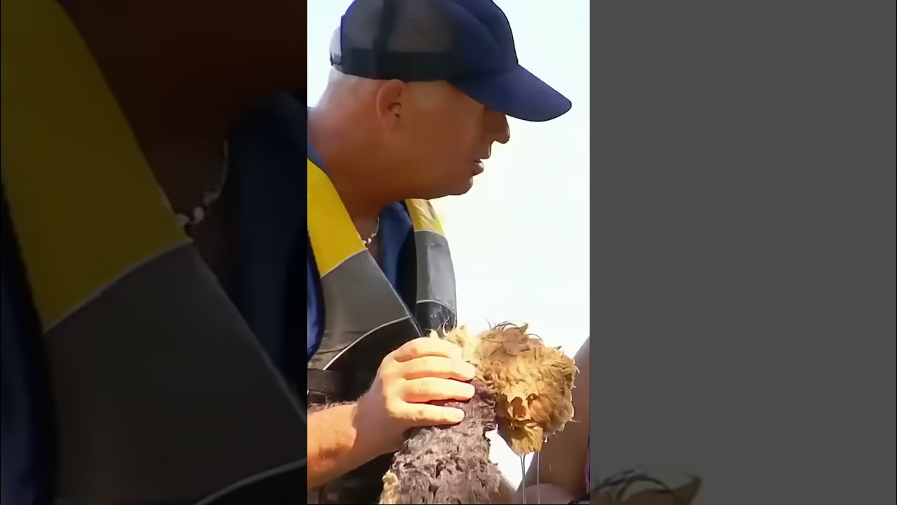 Don’t Walk on Docks!  | Just For Laughs Gags