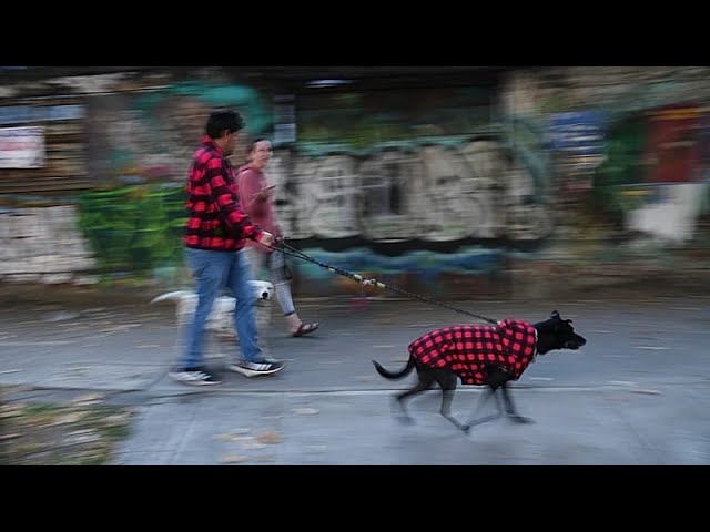 Earthquake with a preliminary magnitude of 6.5 rattles southern and central Mexico