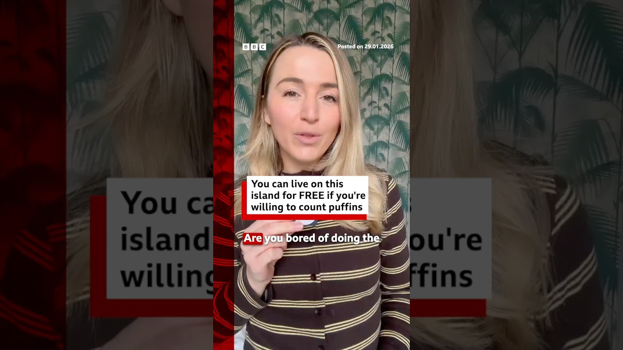 Fancy living on an island for free? You can – if you’re happy to count puffins. #Puffins #BBCNews