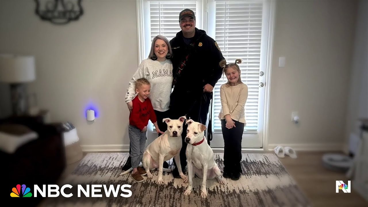 Firefighter who saved puppies in house fire adopts them