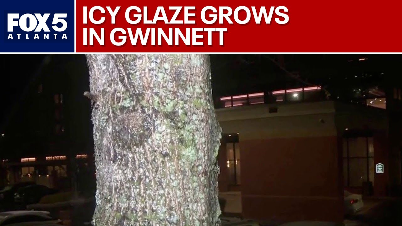Gwinnett glaze: 31-degree temps turn roads to ice | FOX 5 News