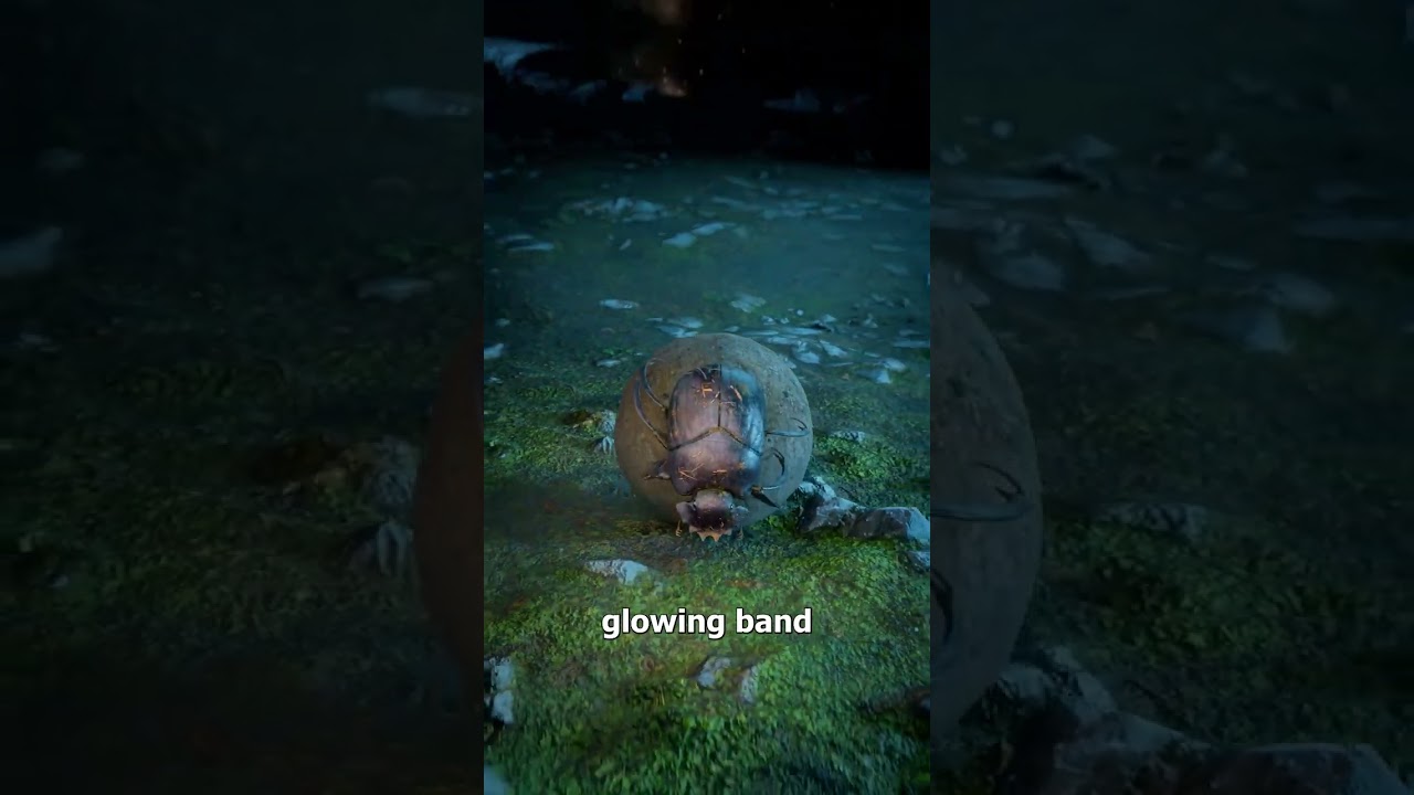 How Dung Beetles Roll Straight In Total Darkness 😮