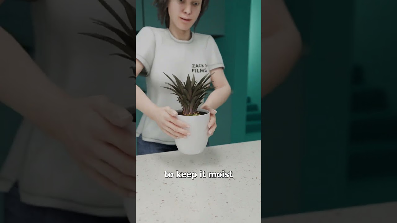 How To Regrow A Pineapple 🤔