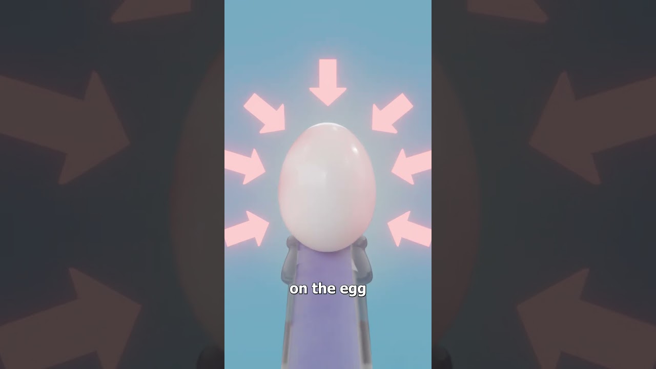 How To Suck An Egg Into A Bottle 🤔