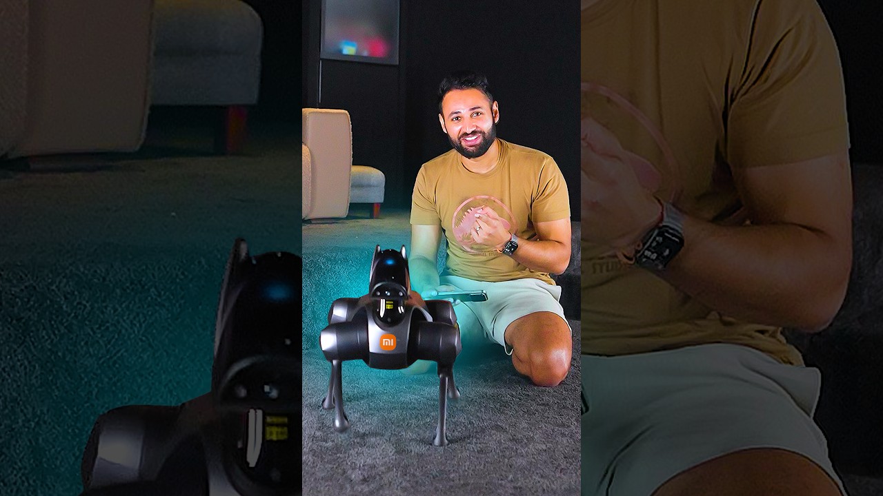 I bought a robot dog