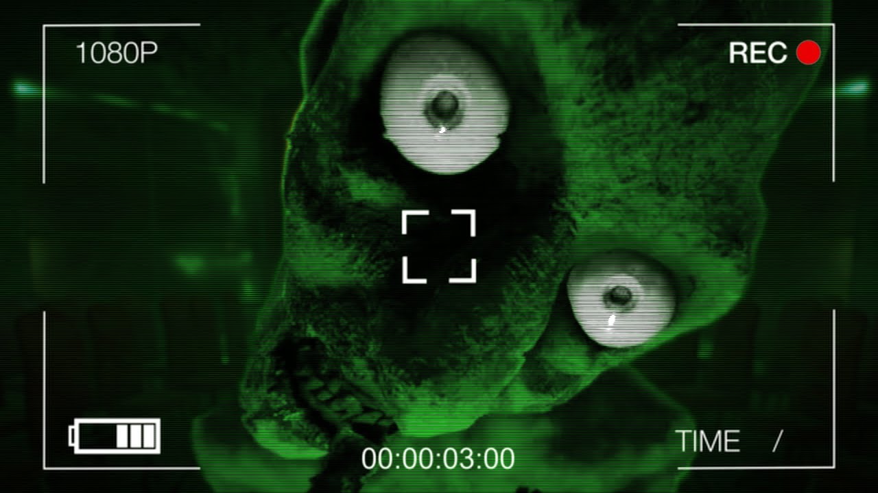 I’m On Observation Duty 8