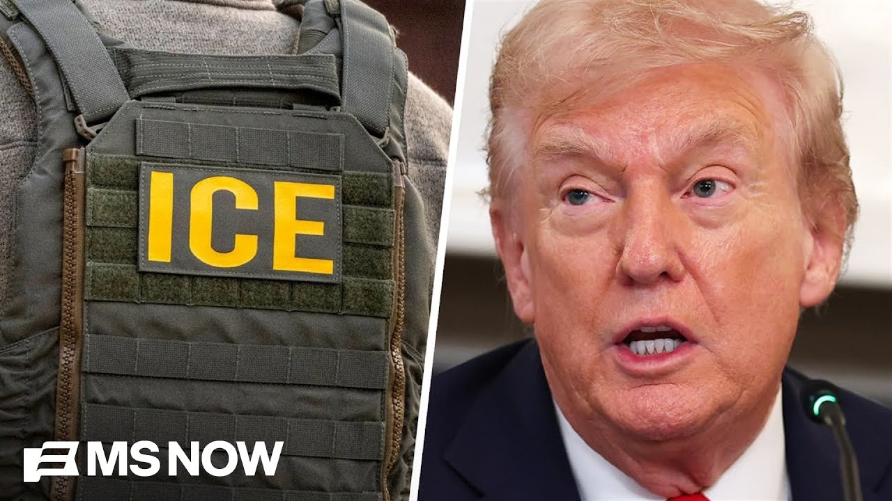 Journalist describes ‘odd’ experience applying to ICE and getting ‘final job offer’