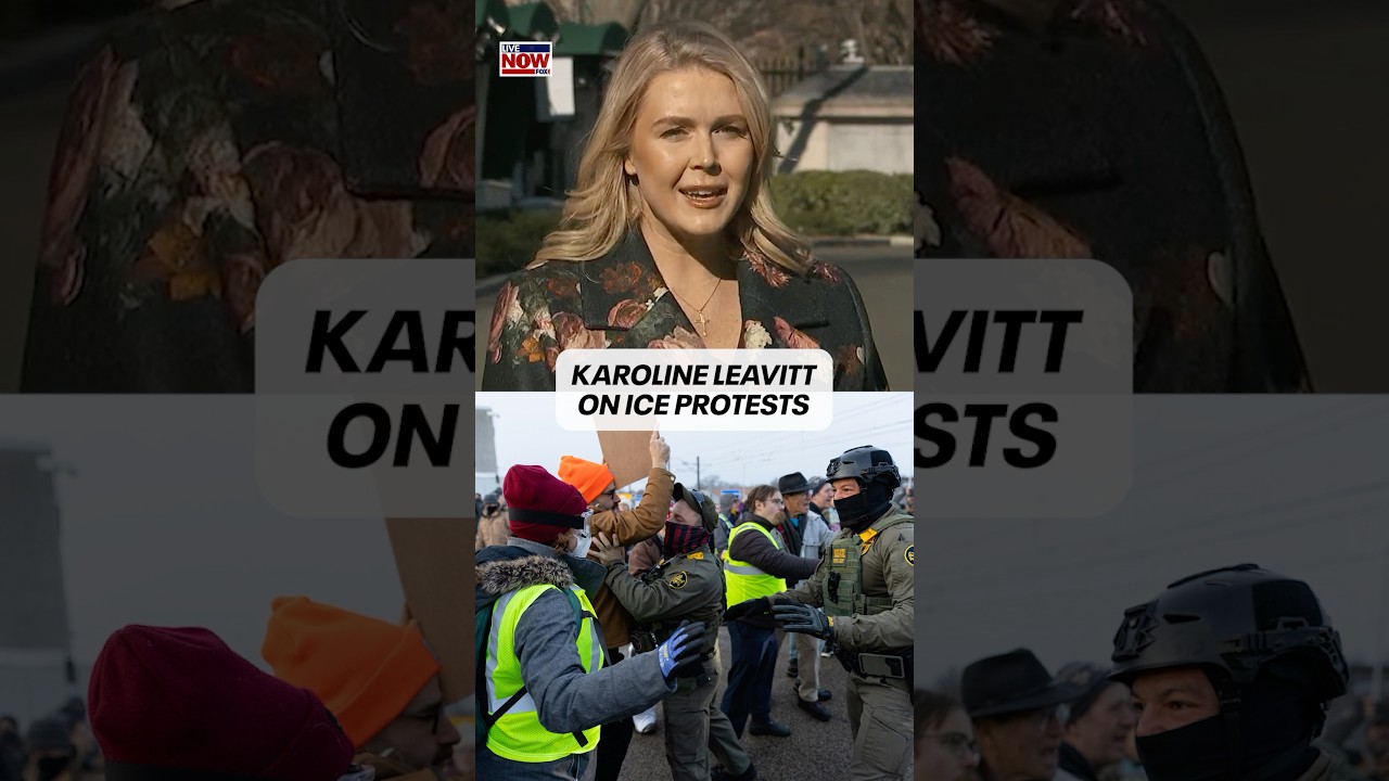 Karoline Leavitt blasts anti-ICE protesters in Minneapolis: “Protesting what exactly..”