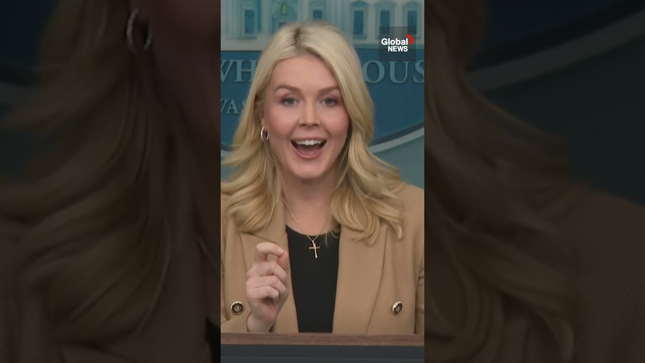 Leavitt launches tirade against reporter after question about ICE, Renee Good killing